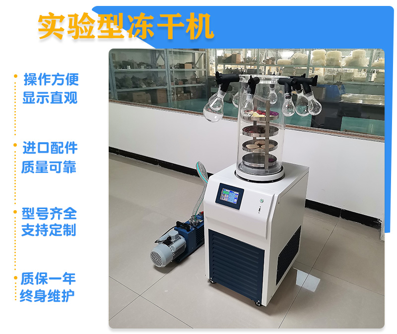 實驗型18.jpg
